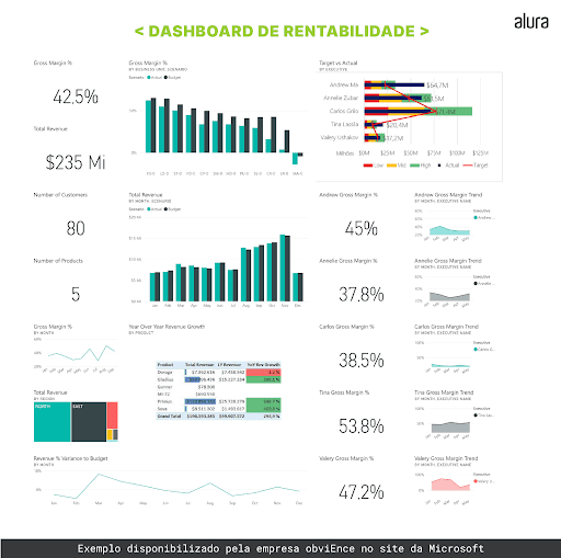 Print do exemplo de dashboard. Na imagem, são apresentados os dados referente a rentabilidade da empresa obviEnce e seus indicadores.