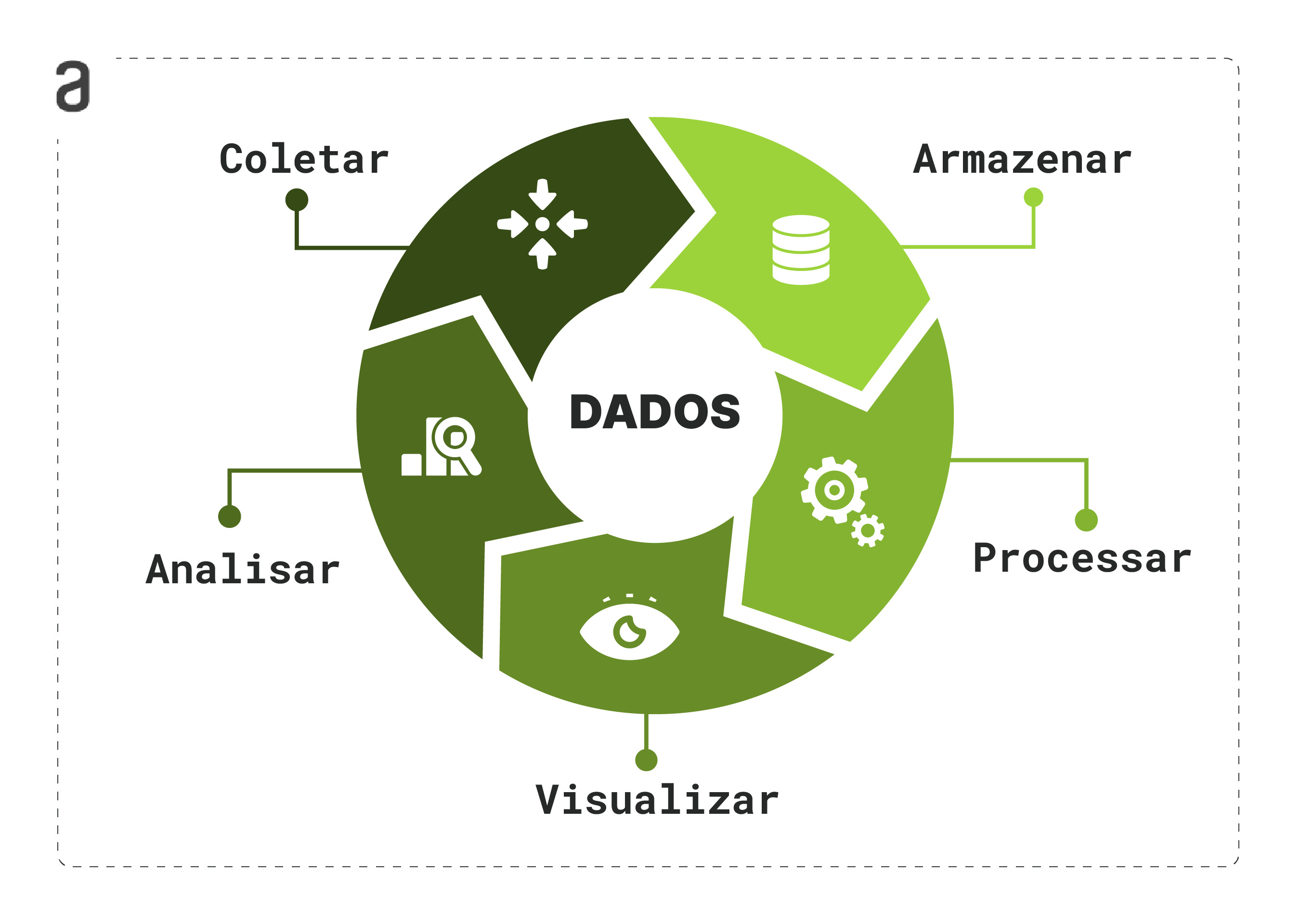 Ciclo de principais processos do BI. No alto do círculo temos o passo “coletar”, em seguida, à direita,à direita, a etapa “armazenar”. Ao descer o círculo, encontramos o passo “processar” e, ao fazer  a curva no círculo,  a etapa “visualizar”. Por fim, para fechar o círculo, temos a ação “analisar”. No centro do círculo, simbolizando o ciclo da análise de dados, está escrito em preto a palavra Dados.