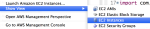 EC2 Instances