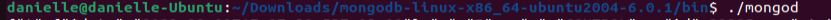 Terminal do Linux, onde foi utilizado o comando ./mongo para iniciar o servidor do MongoDB.