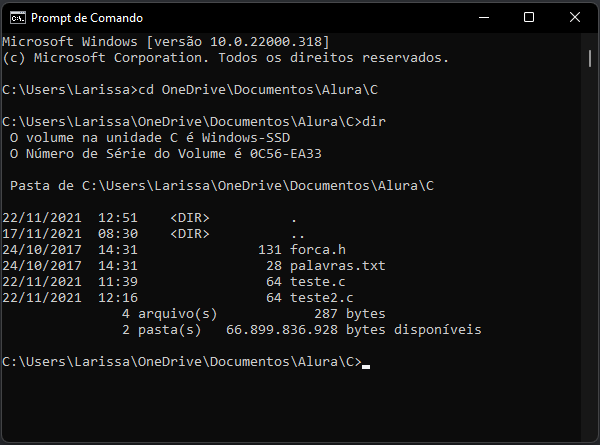 Compilando e executando programas em C/C++ no Windows