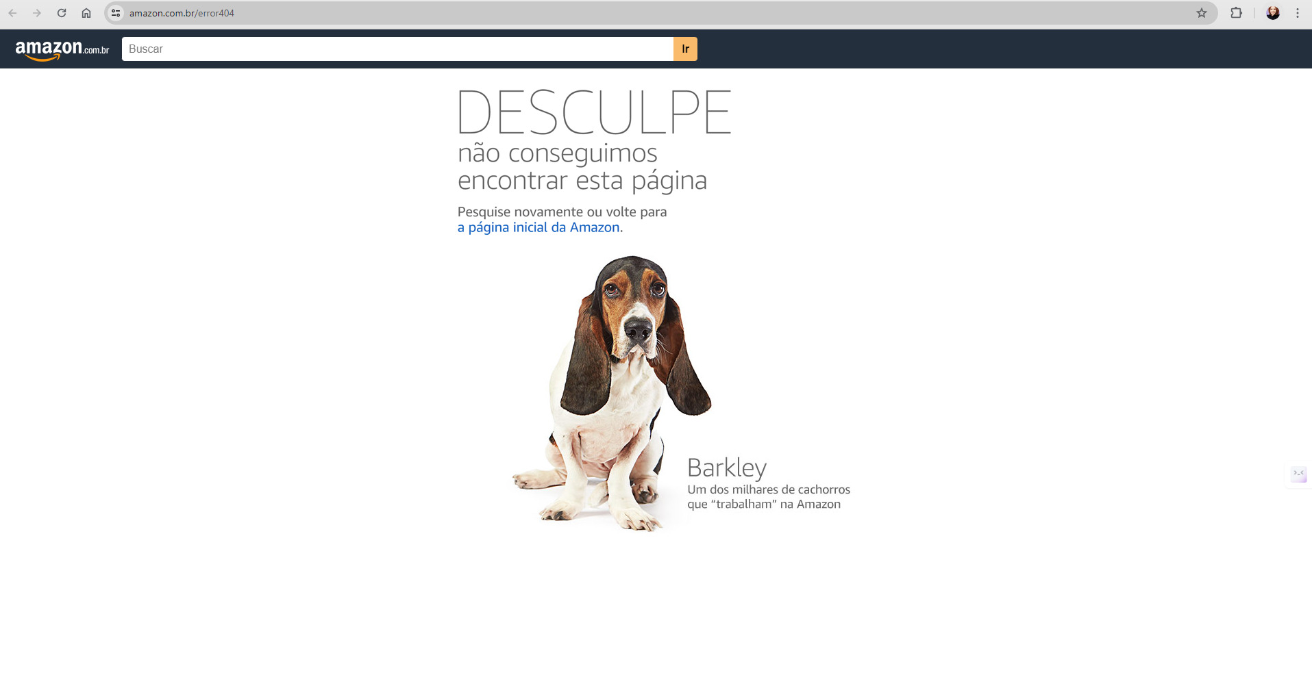 Tela de mensagem de erro da Amazon que apresenta uma mensagem de desculpas acima, assim como convite para pessoa retornar a página inicial da Amazon, assim como imagem de cachorro abaixo e nome dele.